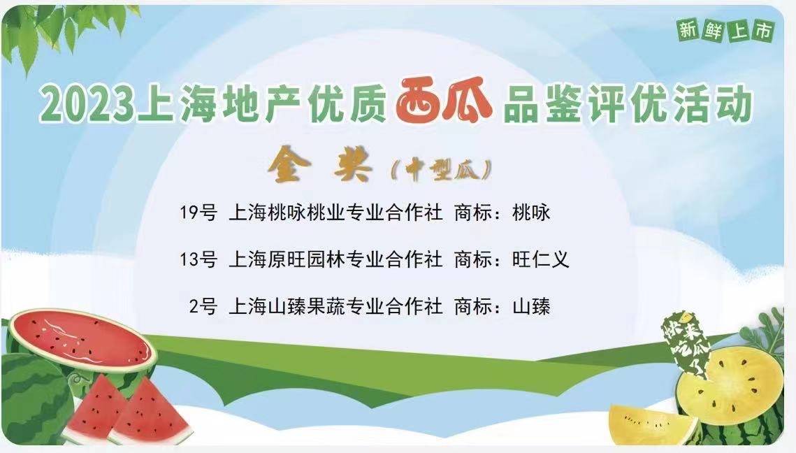 welcome皇冠注册_今年金奖西瓜出炉welcome皇冠注册，上海举办2023年上海地产优质西瓜品鉴评优和展示活动